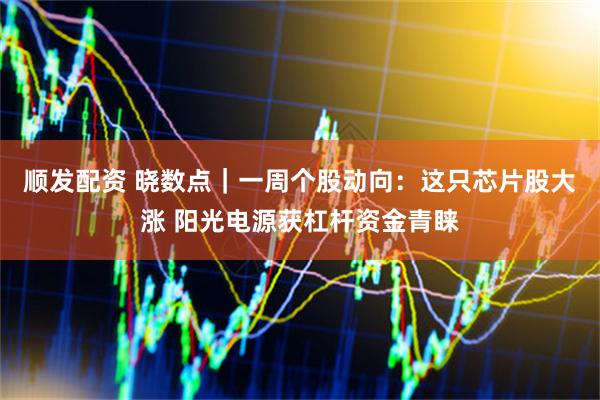 顺发配资 晓数点｜一周个股动向：这只芯片股大涨 阳光电源获杠杆资金青睐