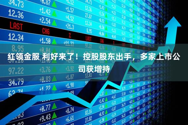 红领金服 利好来了！控股股东出手，多家上市公司获增持