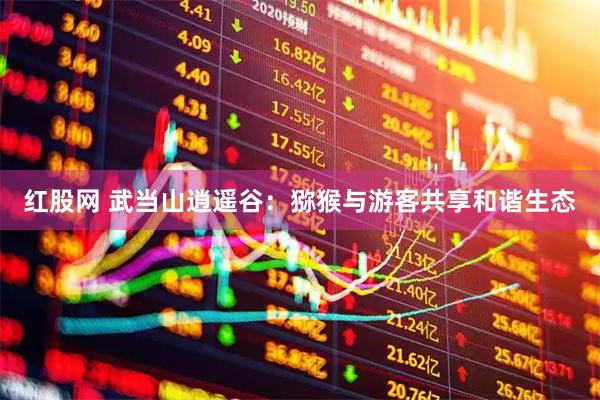 红股网 武当山逍遥谷：猕猴与游客共享和谐生态